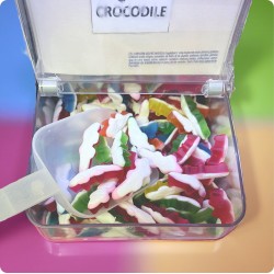 Crocodile